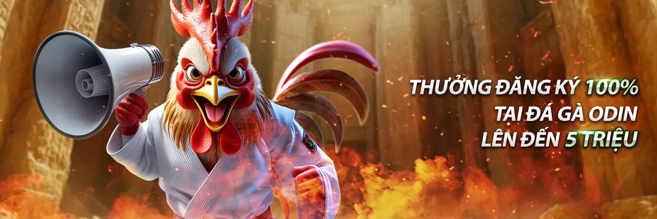 Cá Cược Bóng Đá Letou1